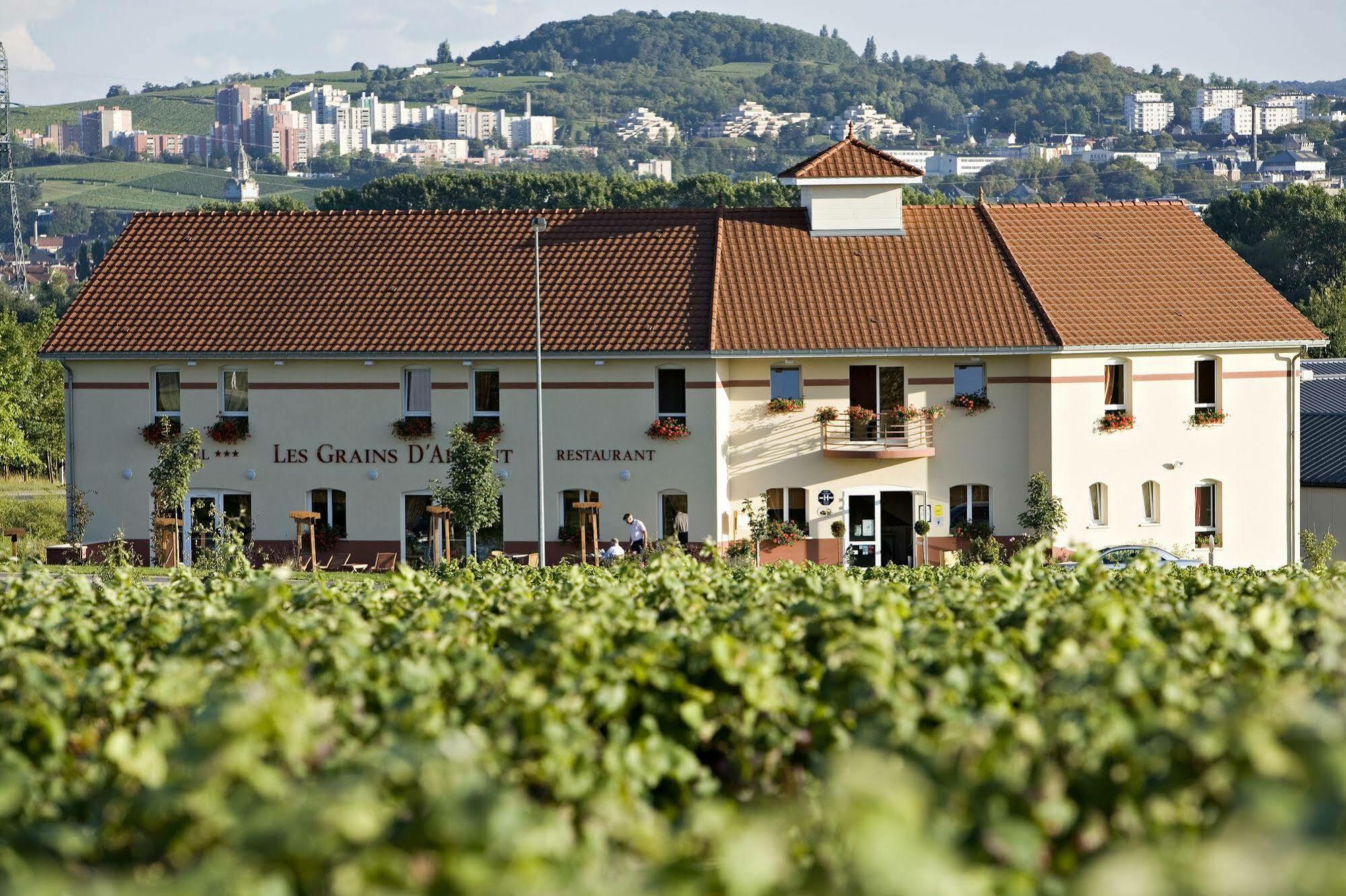 Hotel Les Grains D'Argent Dizy - Épernay Zewnętrze zdjęcie